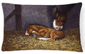Horse and Her Foal Decorative Throw Pillow 12x16 Indoor Outdoor Accent Cushion, Fabric Cover with Insert for Sofa, Bed, Porch & Living Room