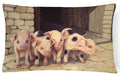 Pigs Piglets by Daphne Baxter Decorative Throw Pillow 12x16 Indoor Outdoor Accent Cushion, Fabric Cover with Insert for Sofa, Bed, Porch & Living Room