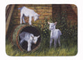 Goats by Daphne Baxter Memory Foam Kitchen Mat Machine Washable Anti-Fatigue Cushion Comfort Bath or Kitchen Rug