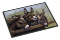 Donkeys by Daphne Baxter Doormat Indoor Outdoor 24H X 36W Front Door Mat Rugs for Entryway, Non Slip Washable Low Pile,