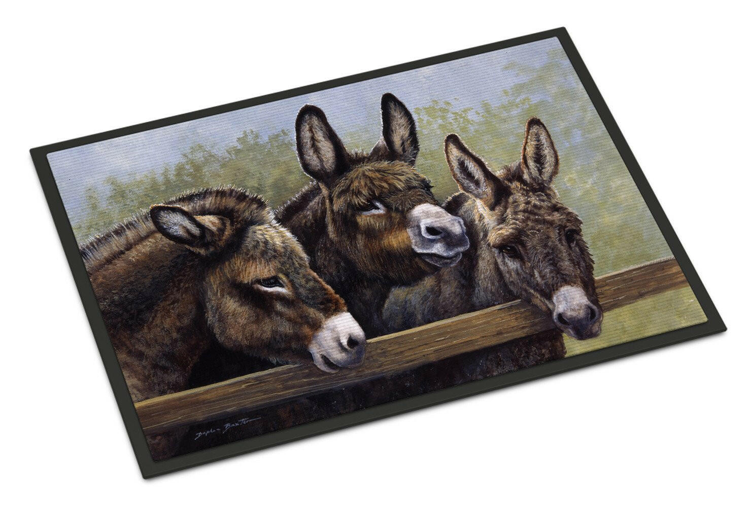 Donkeys by Daphne Baxter Doormat Indoor Outdoor 18H X 27W Front Door Mat Rugs for Entryway, Non Slip Washable