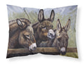 Donkeys by Daphne Baxter Standard Pillowcase Lightweight Super Soft Easy Care Decorative Artwork Pillowcase, Standard