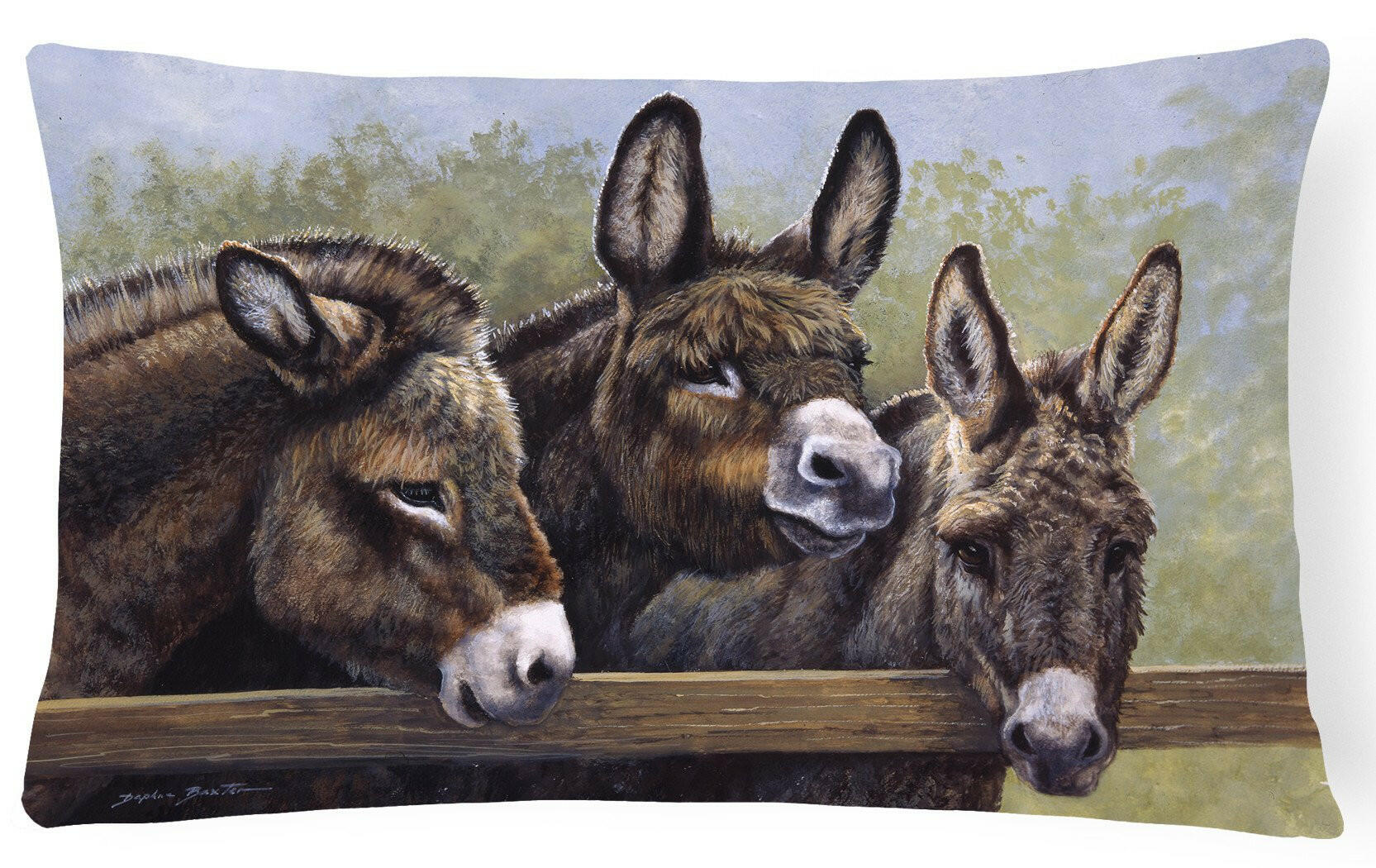 Donkeys by Daphne Baxter Decorative Throw Pillow 12x16 Indoor Outdoor Accent Cushion, Fabric Cover with Insert for Sofa, Bed, Porch & Living Room