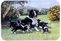 Border Collie Puppies with Momma Cutting Board Tempered Glass Kitchen Cutting Surface, Heat Resistant Chopping, Non-Slip Feet, Food Prep & Serving