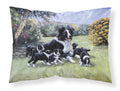 Border Collie Puppies with Momma Standard Pillowcase Lightweight Super Soft Easy Care Decorative Artwork Pillowcase, Standard