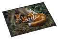A Family of Foxes at Home Doormat Indoor Outdoor 24H X 36W Front Door Mat Rugs for Entryway, Non Slip Washable Low Pile,