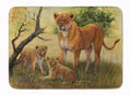 Lion and Cubs by Daphne Baxter Memory Foam Kitchen Mat Machine Washable Anti-Fatigue Cushion Comfort Bath or Kitchen Rug