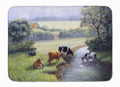 Cows Drinking at the Creek Bank Memory Foam Kitchen Mat Machine Washable Anti-Fatigue Cushion Comfort Bath or Kitchen Rug
