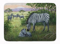 Zebras in the Field with Baby Memory Foam Kitchen Mat Machine Washable Anti-Fatigue Cushion Comfort Bath or Kitchen Rug