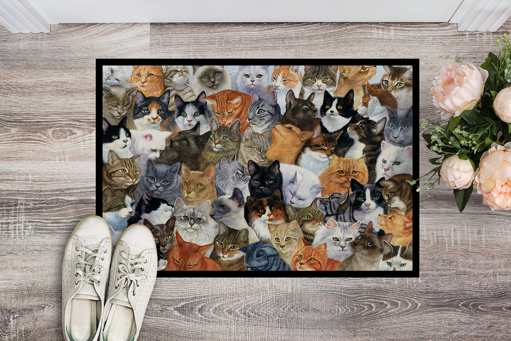 Cats Galore Doormat Indoor Outdoor 18H X 27W Front Door Mat Rugs for Entryway, Non Slip Washable