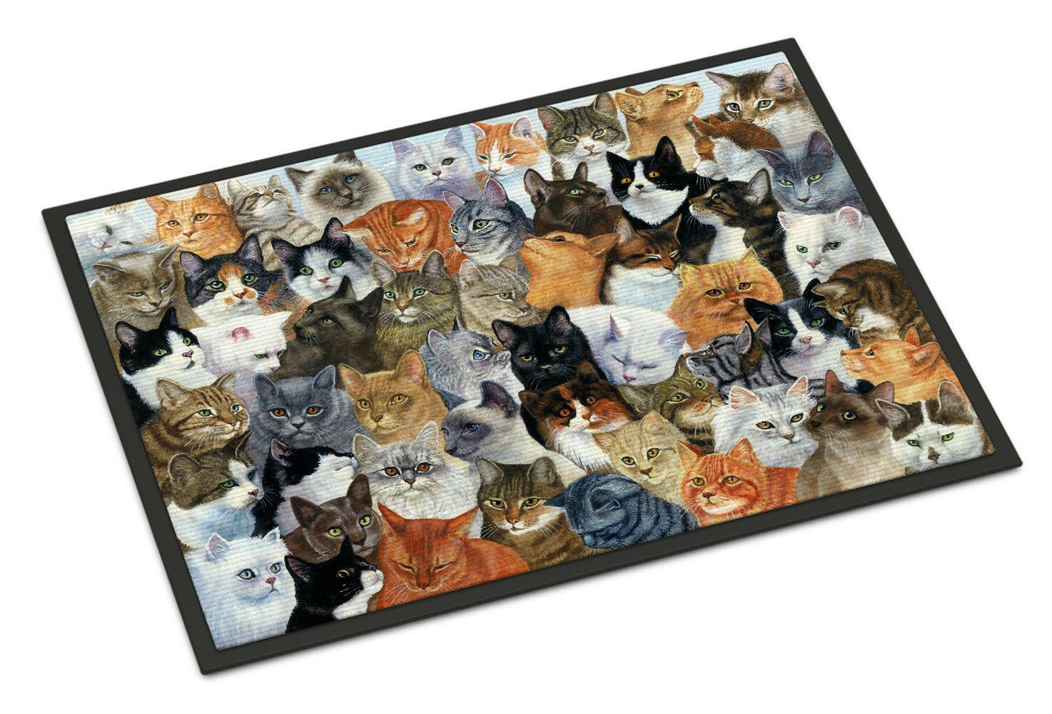 Cats Galore Doormat Indoor Outdoor 18H X 27W Front Door Mat Rugs for Entryway, Non Slip Washable