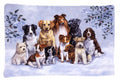 Winter Dogs Standard Pillowcase Lightweight Super Soft Easy Care Decorative Artwork Pillowcase, Standard