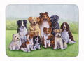 Springtime Dogs Memory Foam Kitchen Mat Machine Washable Anti-Fatigue Cushion Comfort Bath or Kitchen Rug