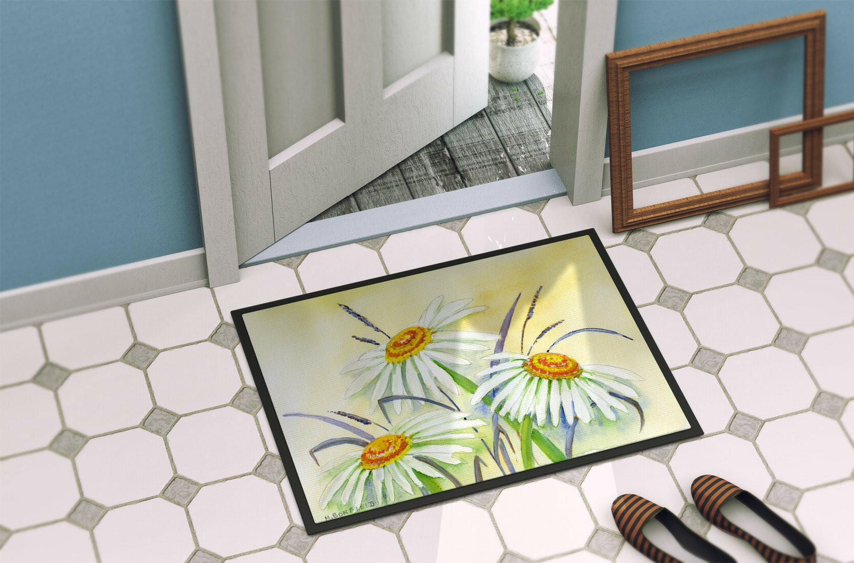 Daisies by Maureen Bonfield Doormat Indoor Outdoor 24H X 36W Front Door Mat Rugs for Entryway, Non Slip Washable Low Pile,