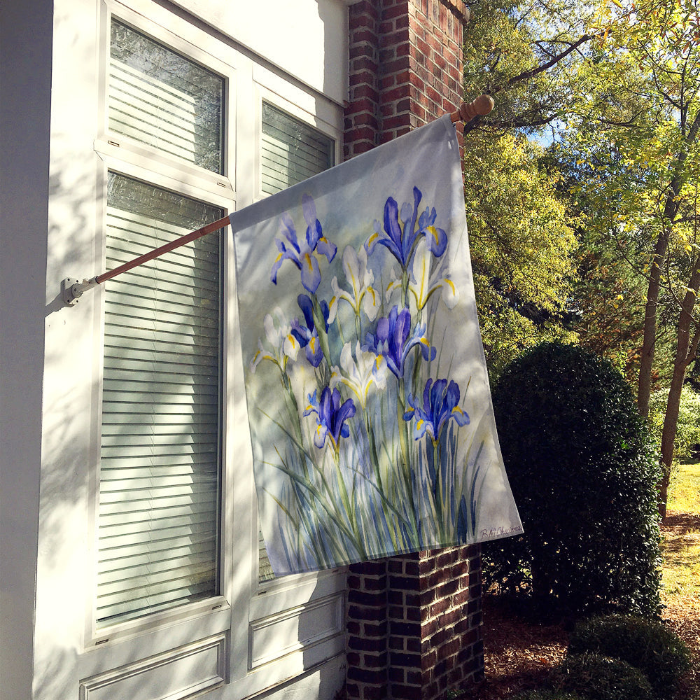 Iris by Bettie Cheesman House Flag 28x40 Porch Sleeve Pole Decorative Outside Yard Banner Artwork Wall Hanging, Polyester