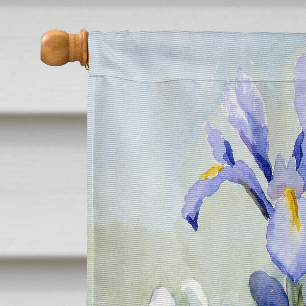 Iris by Bettie Cheesman House Flag 28x40 Porch Sleeve Pole Decorative Outside Yard Banner Artwork Wall Hanging, Polyester