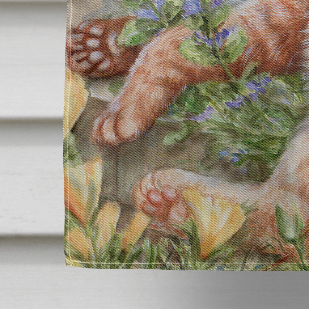 Tabby In The Roses by Debbie Cook House Flag 28x40 Porch Sleeve Pole Decorative Outside Yard Banner Artwork Wall Hanging, Polyester