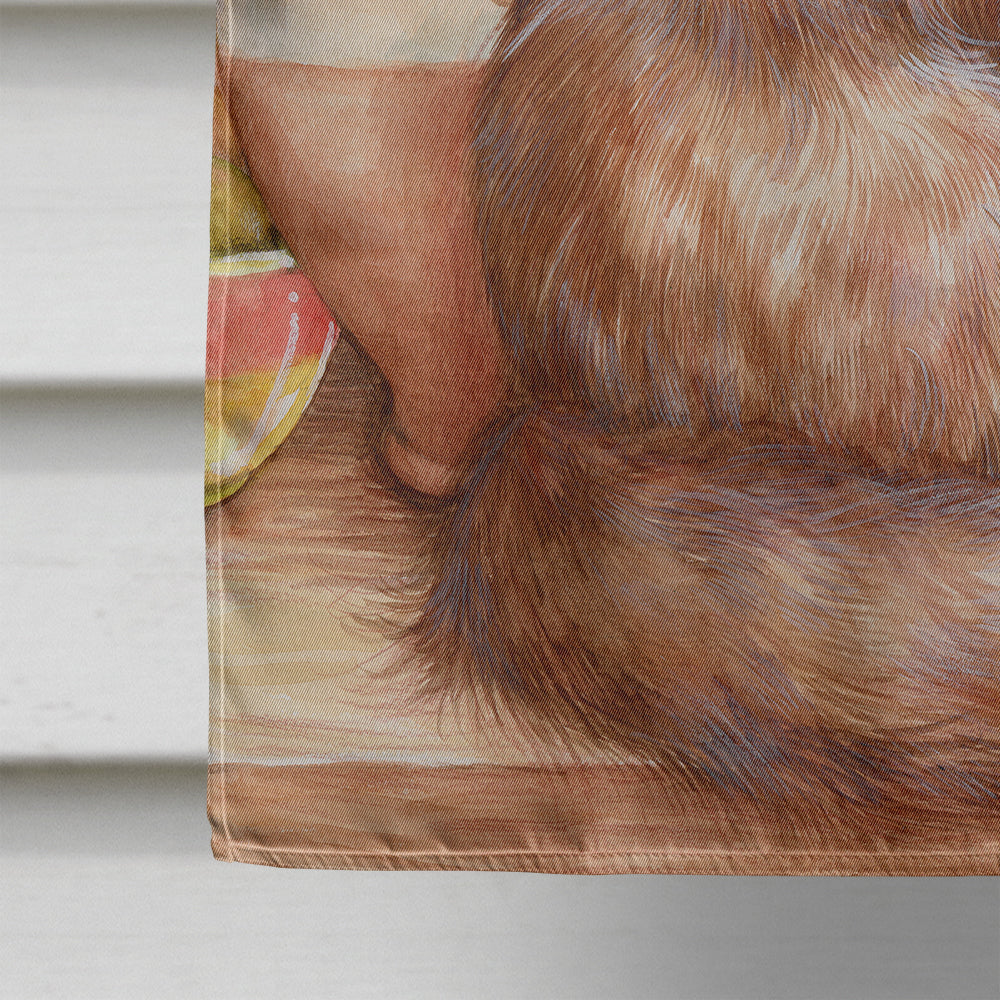 Maine Coon Cat by Debbie Cook House Flag 28x40 Porch Sleeve Pole Decorative Outside Yard Banner Artwork Wall Hanging, Polyester