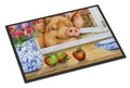 Pig trying to reach the Apple in the Window Doormat Indoor Outdoor 24H X 36W Front Door Mat Rugs for Entryway, Non Slip Washable Low Pile,