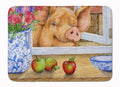 Pig trying to reach the Apple in the Window Memory Foam Kitchen Mat Machine Washable Anti-Fatigue Cushion Comfort Bath or Kitchen Rug