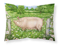 Pig In Dasies by Debbie Cook Standard Pillowcase Lightweight Super Soft Easy Care Decorative Artwork Pillowcase, Standard
