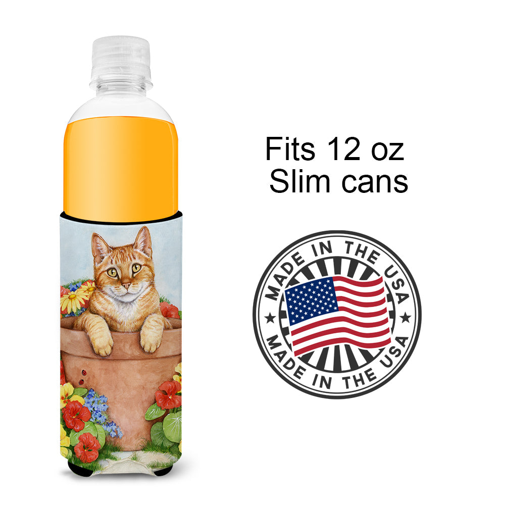 Ginger Cat In Pot by Debbie Cook Slim Can Hugger , Insulated Foam Hugger for 12 oz Slim Cans, Beer Bottles & Water Bottles, Printed in USA