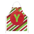 Christmas Oranment Holiday Initial Letter Y Apron Cooking Kitchen Server Baking Crafts Gardening for Adult Women Men, Unisex, Large, Multicolor