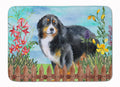 Bernese Mountain Dog Spring Memory Foam Kitchen Mat Machine Washable Anti-Fatigue Cushion Comfort Bath or Kitchen Rug