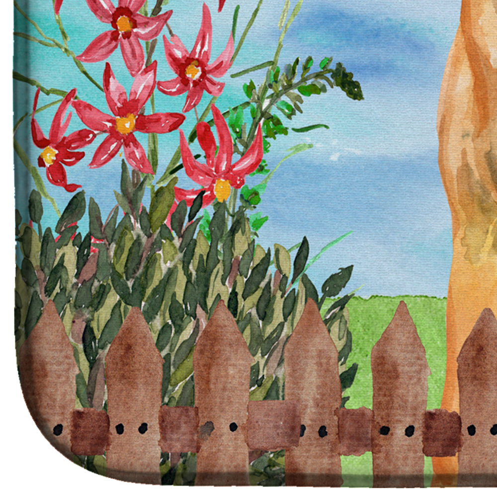 Rhodesian Ridgeback Spring Dish Drying Mat Absorbent Dish Drying Mat Pad for Kitchen Counter Dish Drainer Mat for Countertop, 14 x 21", Multicolor