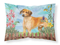 Rhodesian Ridgeback Spring Standard Pillowcase Lightweight Super Soft Easy Care Decorative Artwork Pillowcase, Standard