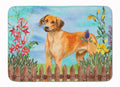 Rhodesian Ridgeback Spring Memory Foam Kitchen Mat Machine Washable Anti-Fatigue Cushion Comfort Bath or Kitchen Rug