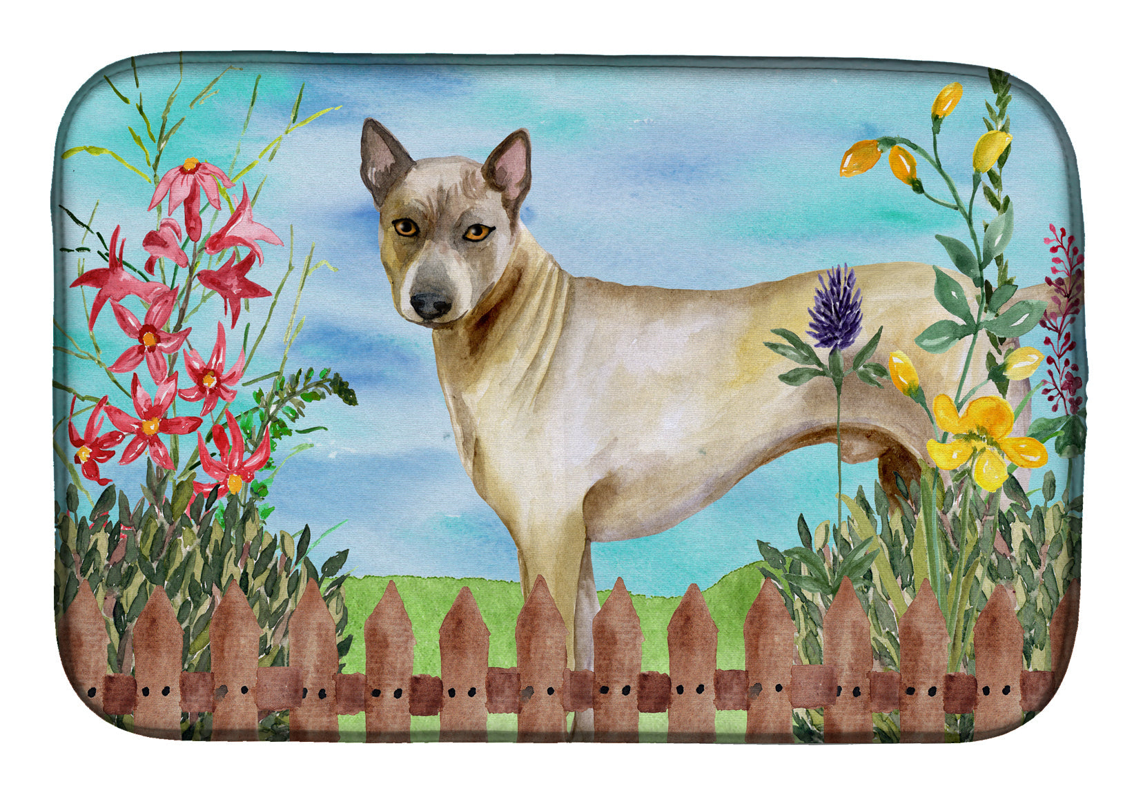 Thai Ridgeback Spring Dish Drying Mat Absorbent Dish Drying Mat Pad for Kitchen Counter Dish Drainer Mat for Countertop, 14 x 21", Multicolor