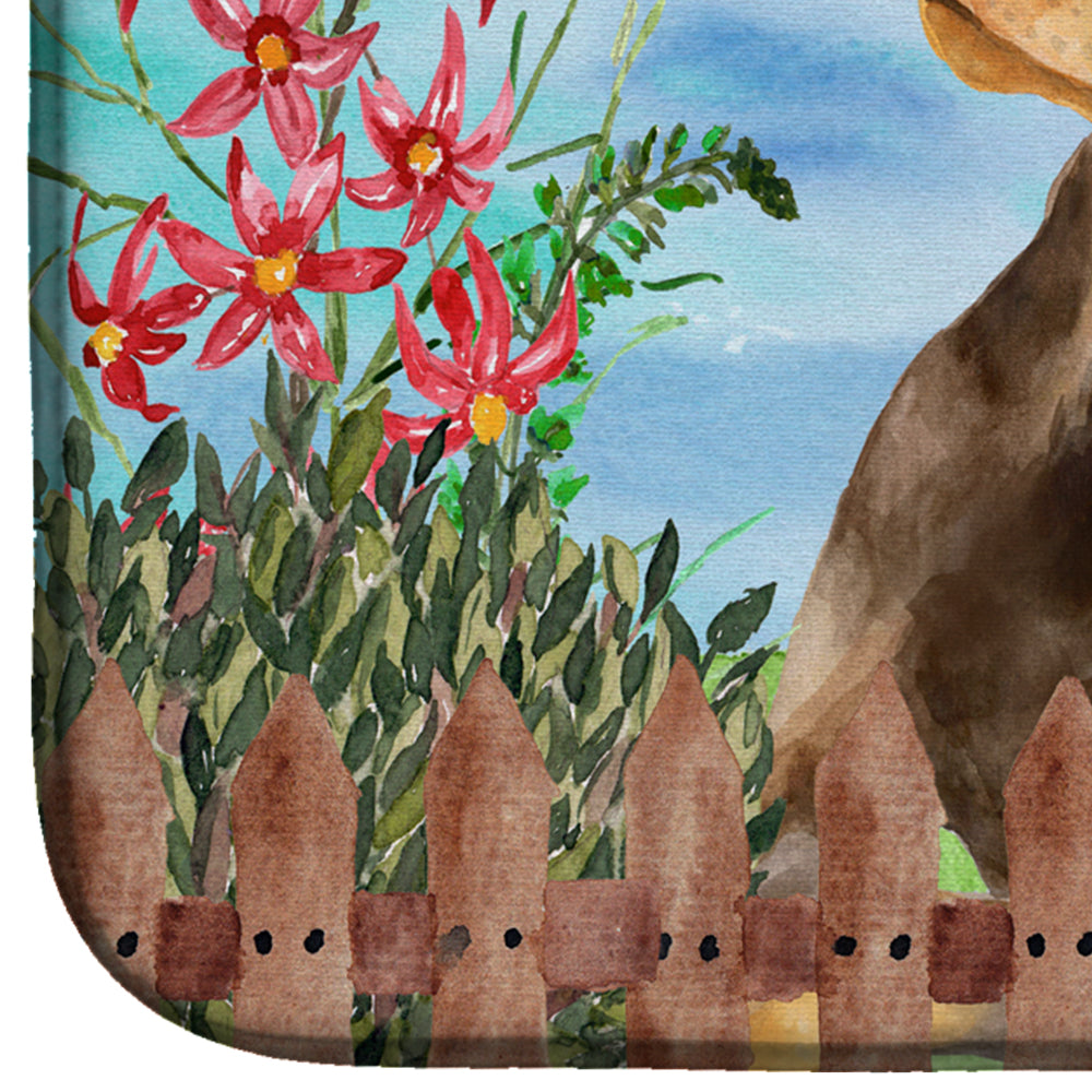 Doberman Pinscher Spring Dish Drying Mat Absorbent Dish Drying Mat Pad for Kitchen Counter Dish Drainer Mat for Countertop, 14 x 21", Multicolor