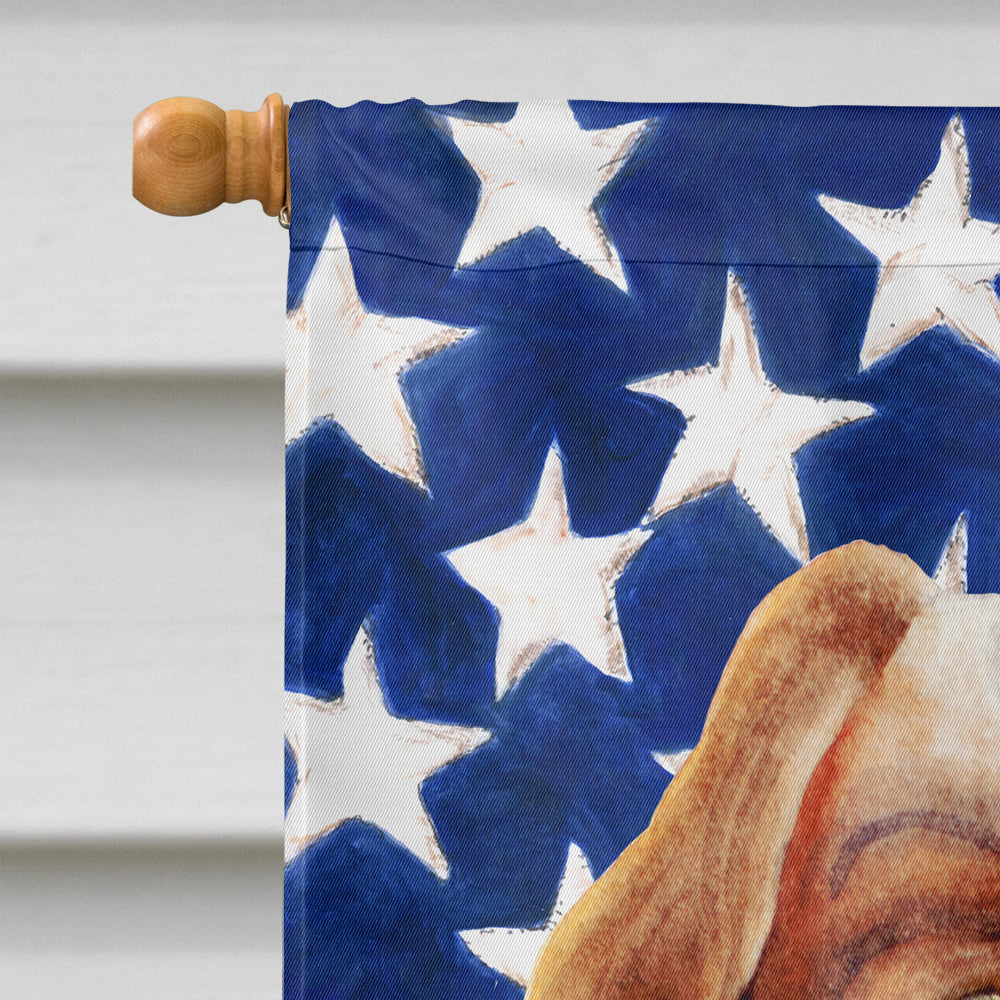 Cavalier Spaniel Patriotic House Flag 28x40 Porch Sleeve Pole Decorative Outside Yard Banner Artwork Wall Hanging, Polyester