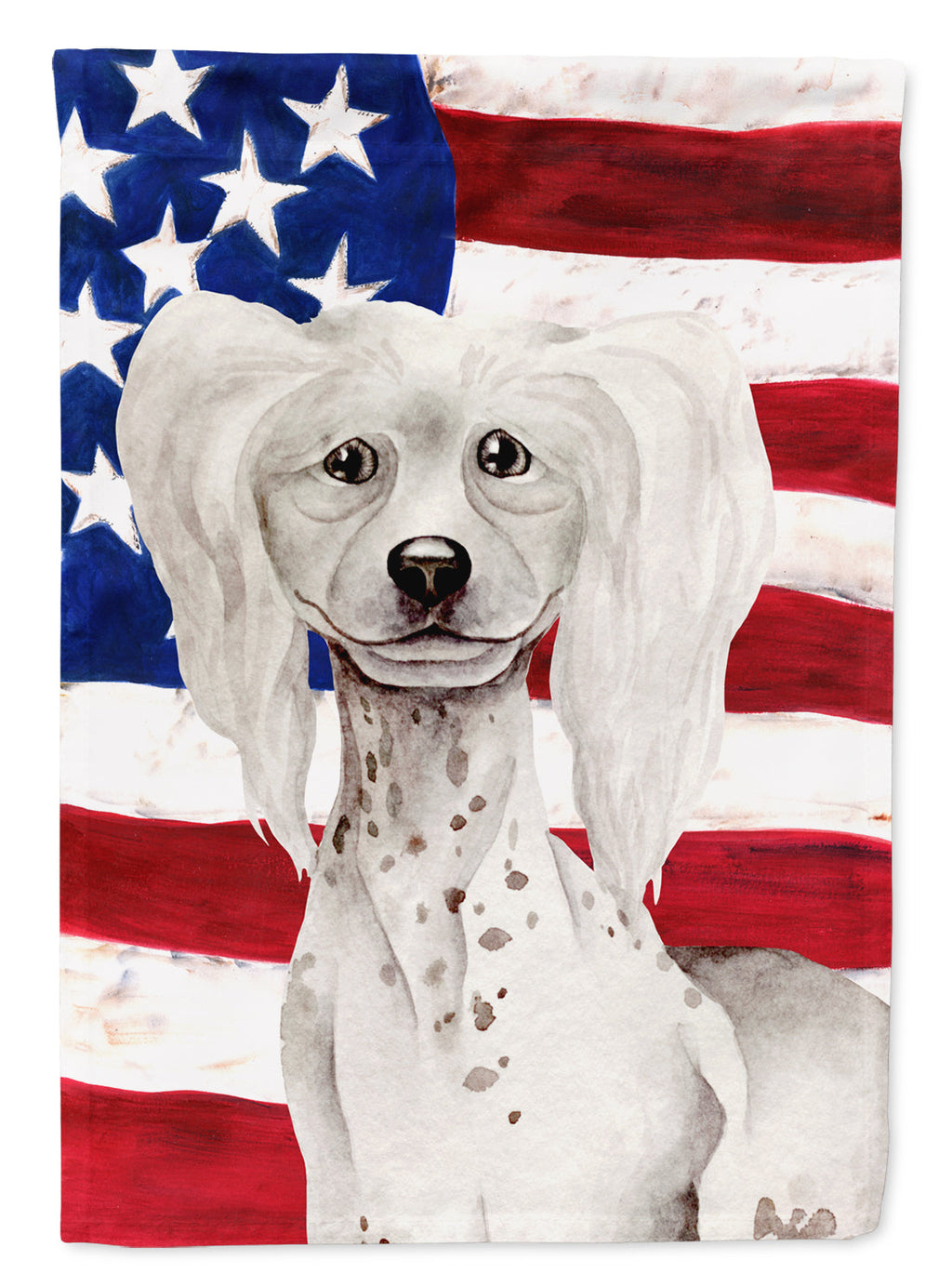 Chinese Crested Patriotic House Flag 28x40 Porch Sleeve Pole Decorative Outside Yard Banner Artwork Wall Hanging, Polyester