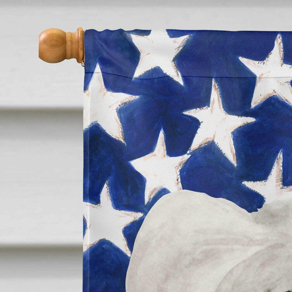 Chinese Crested Patriotic House Flag 28x40 Porch Sleeve Pole Decorative Outside Yard Banner Artwork Wall Hanging, Polyester