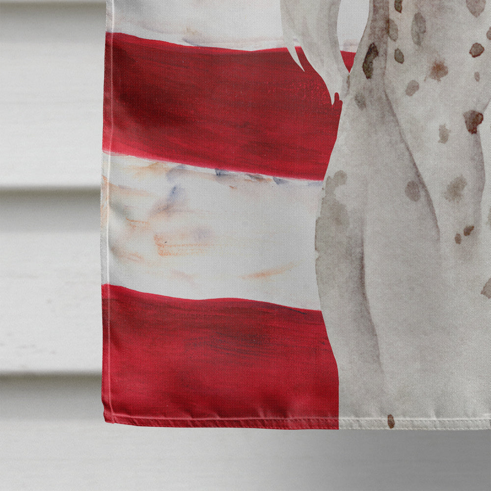 Chinese Crested Patriotic House Flag 28x40 Porch Sleeve Pole Decorative Outside Yard Banner Artwork Wall Hanging, Polyester