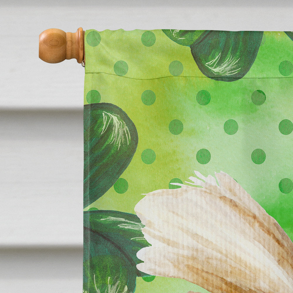 Yorkie Yorkshier Terrier Shamrocks House Flag 28x40 Porch Sleeve Pole Decorative Outside Yard Banner Artwork Wall Hanging, Polyester