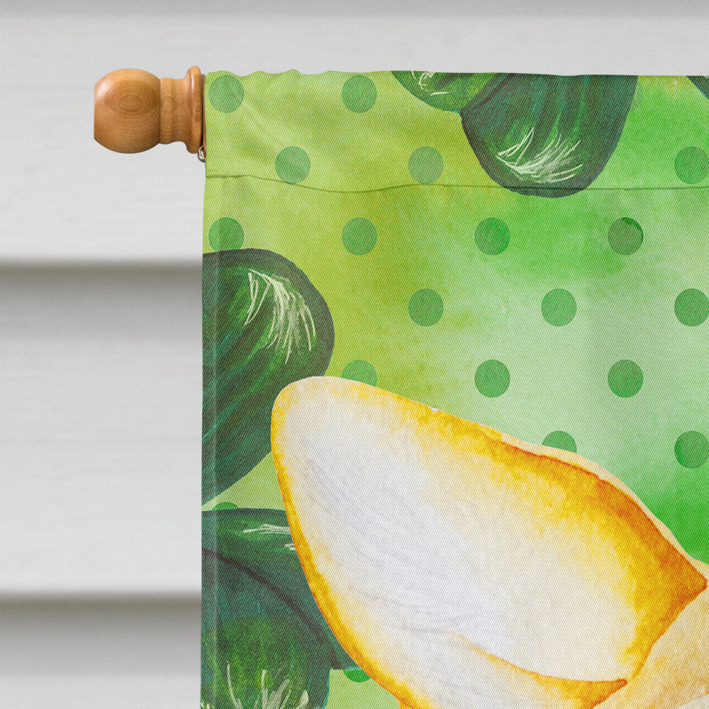 Corgi Shamrocks House Flag 28x40 Porch Sleeve Pole Decorative Outside Yard Banner Artwork Wall Hanging, Polyester