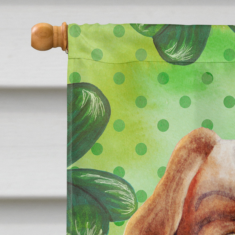 Cavalier Spaniel Shamrocks House Flag 28x40 Porch Sleeve Pole Decorative Outside Yard Banner Artwork Wall Hanging, Polyester