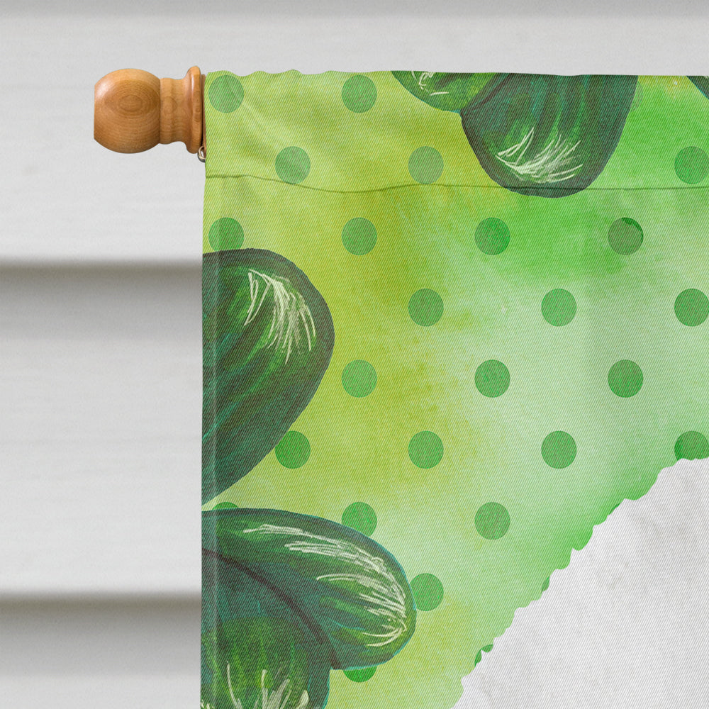 Dandie Dinmont Shamrocks House Flag 28x40 Porch Sleeve Pole Decorative Outside Yard Banner Artwork Wall Hanging, Polyester