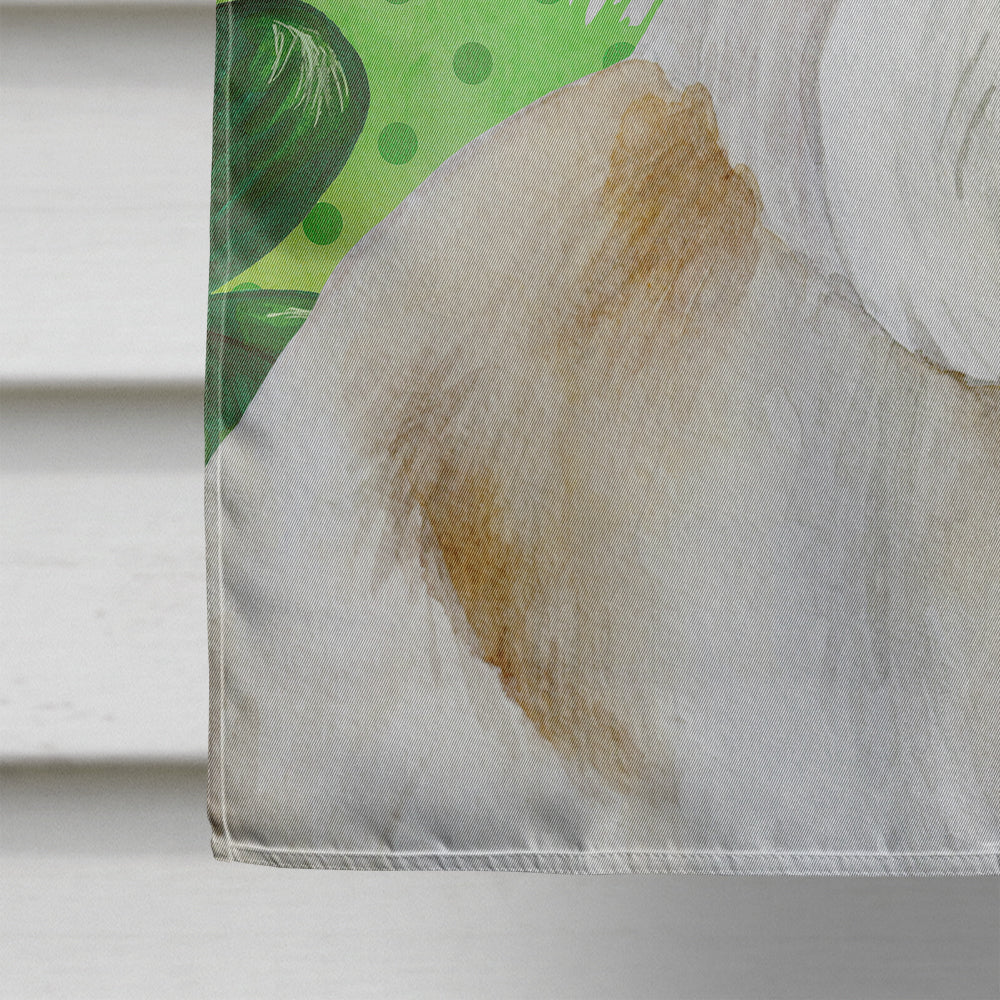 Dandie Dinmont Shamrocks House Flag 28x40 Porch Sleeve Pole Decorative Outside Yard Banner Artwork Wall Hanging, Polyester