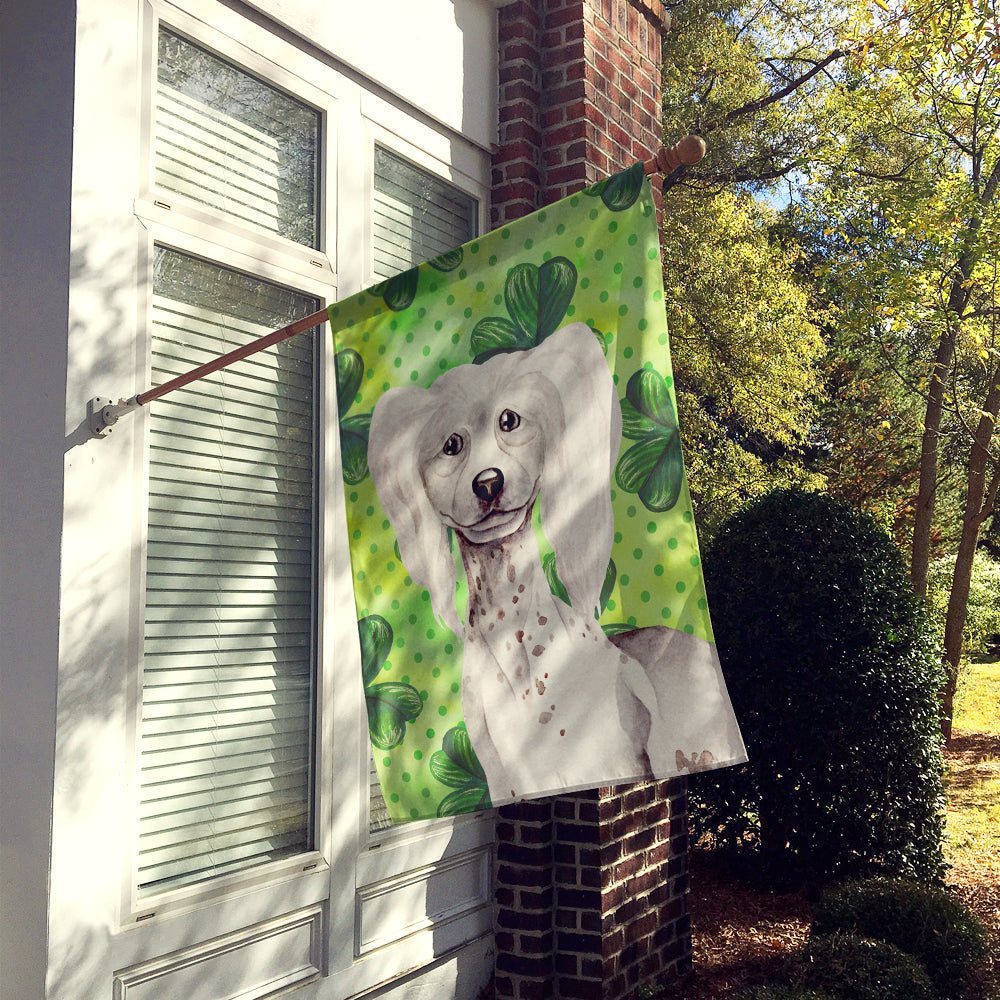 Chinese Crested Shamrocks House Flag 28x40 Porch Sleeve Pole Decorative Outside Yard Banner Artwork Wall Hanging, Polyester