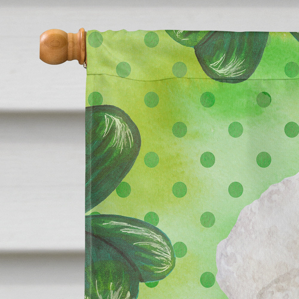 Bichon Frise Shamrocks House Flag 28x40 Porch Sleeve Pole Decorative Outside Yard Banner Artwork Wall Hanging, Polyester