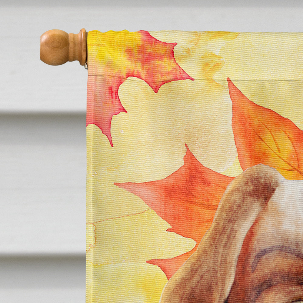 Cavalier Spaniel Fall House Flag 28x40 Porch Sleeve Pole Decorative Outside Yard Banner Artwork Wall Hanging, Polyester