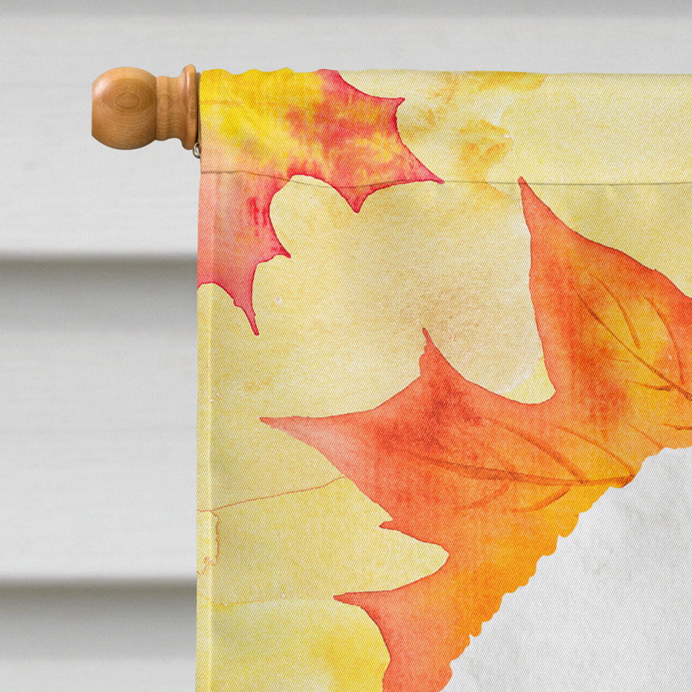 Dandie Dinmont Fall House Flag 28x40 Porch Sleeve Pole Decorative Outside Yard Banner Artwork Wall Hanging, Polyester