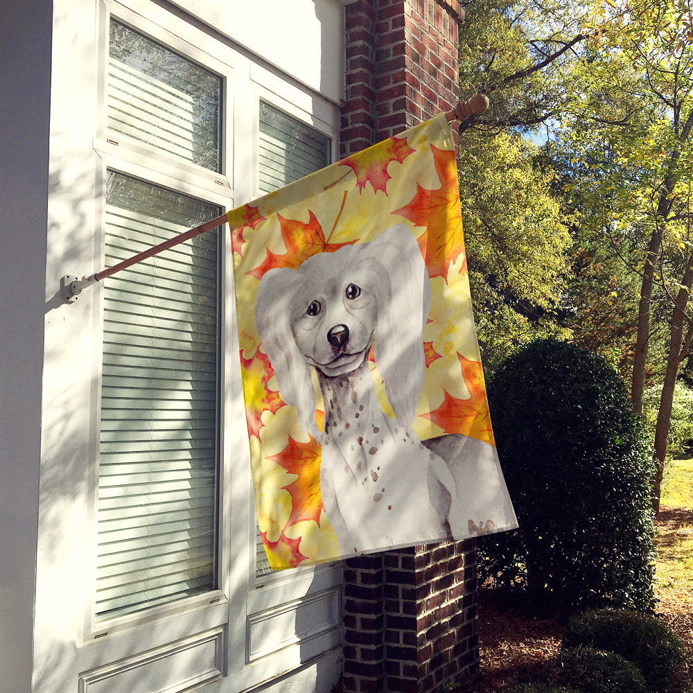 Chinese Crested Fall House Flag 28x40 Porch Sleeve Pole Decorative Outside Yard Banner Artwork Wall Hanging, Polyester
