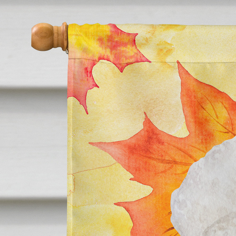 Bichon Frise Fall House Flag 28x40 Porch Sleeve Pole Decorative Outside Yard Banner Artwork Wall Hanging, Polyester