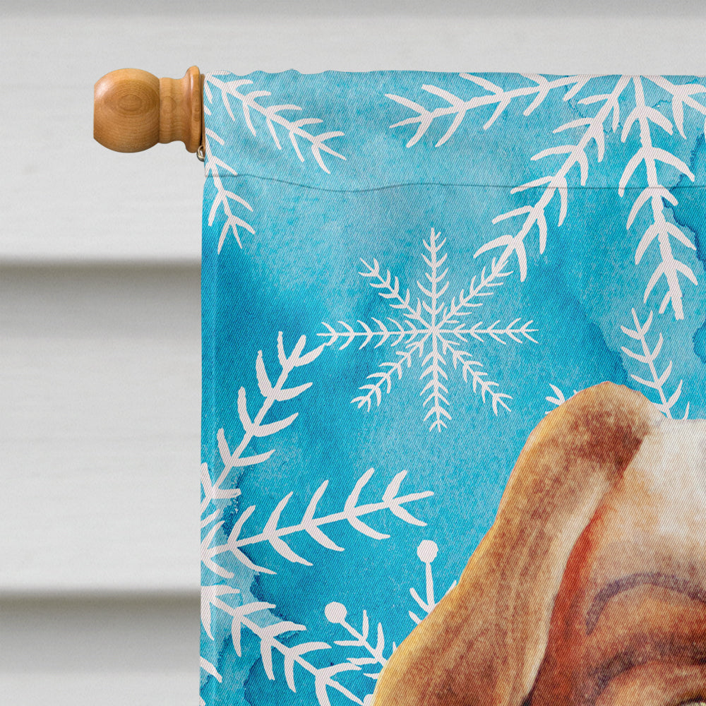 Cavalier Spaniel Winter House Flag 28x40 Porch Sleeve Pole Decorative Outside Yard Banner Artwork Wall Hanging, Polyester