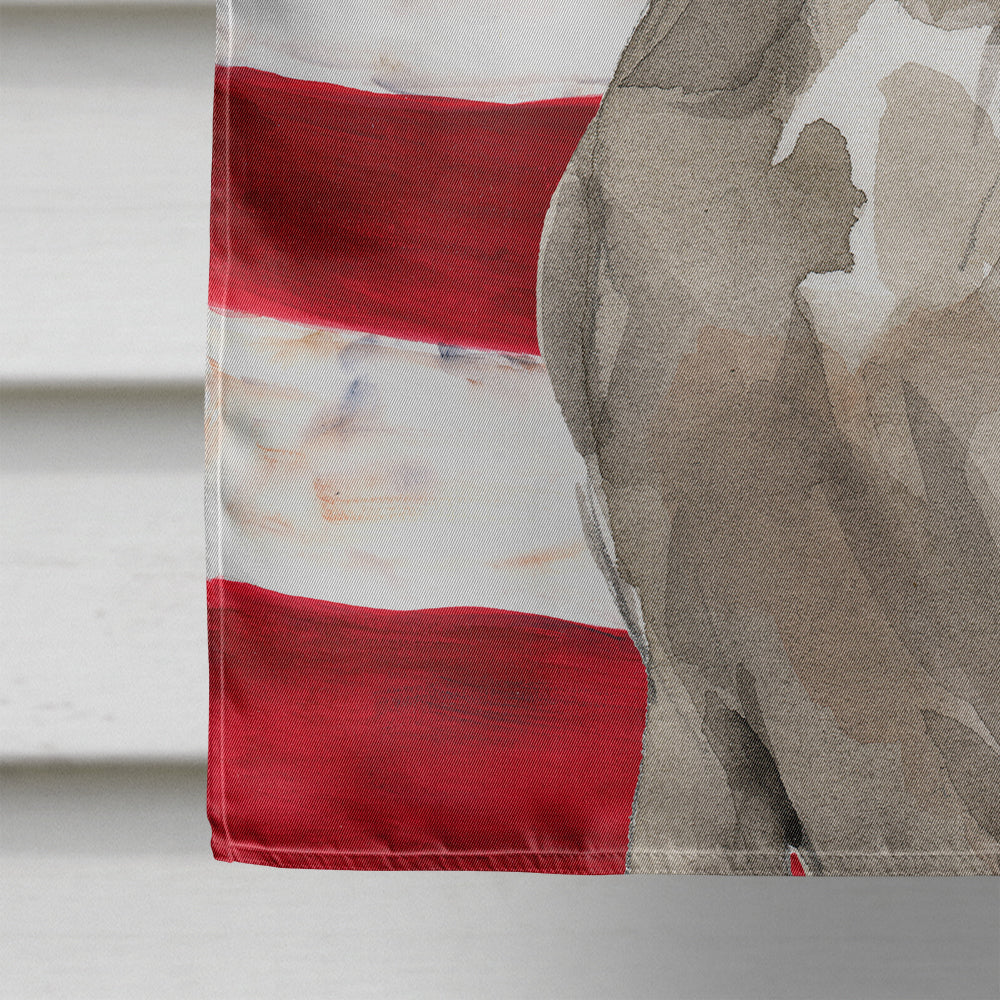 Patriotic USA Weimaraner House Flag 28x40 Porch Sleeve Pole Decorative Outside Yard Banner Artwork Wall Hanging, Polyester